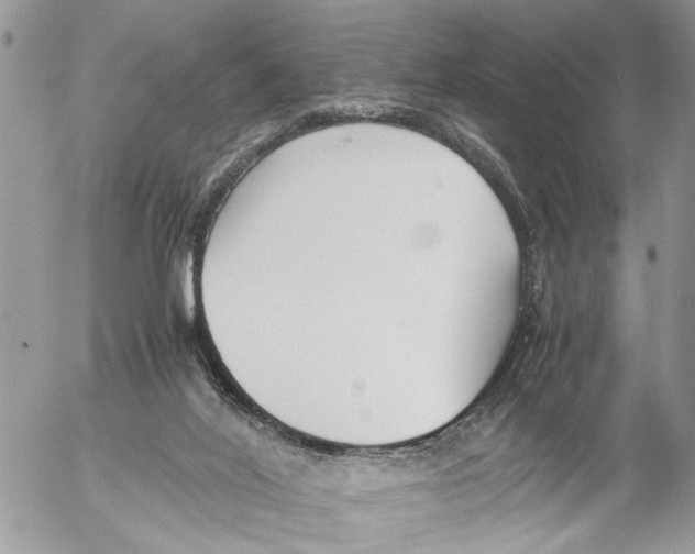 X0000053070020200508081231