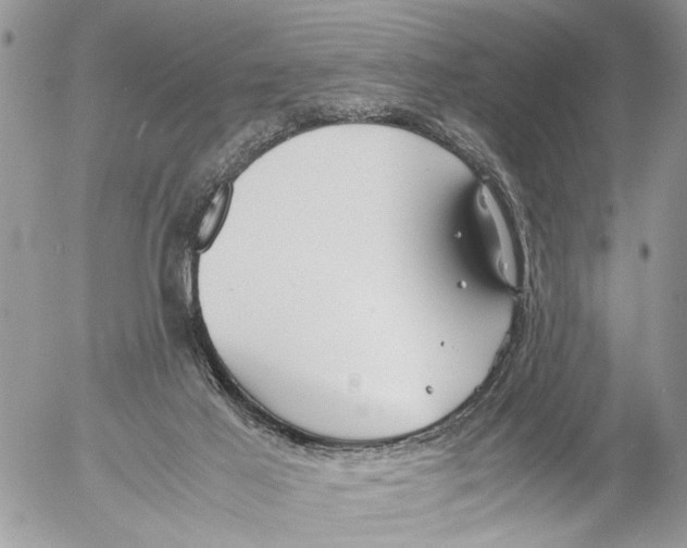 X0000053070021200508081231