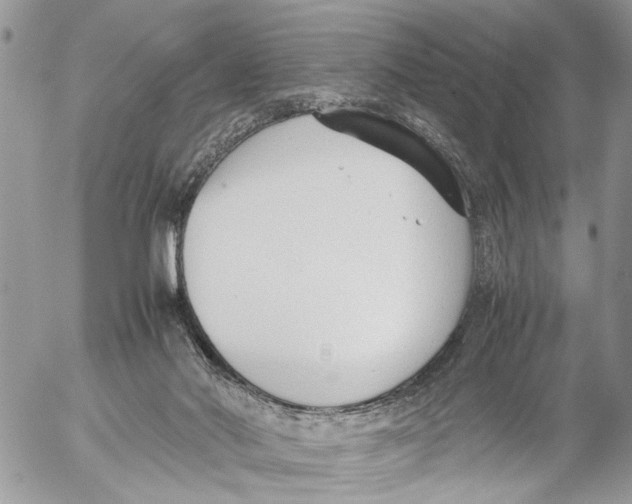 X0000053070022200508081231