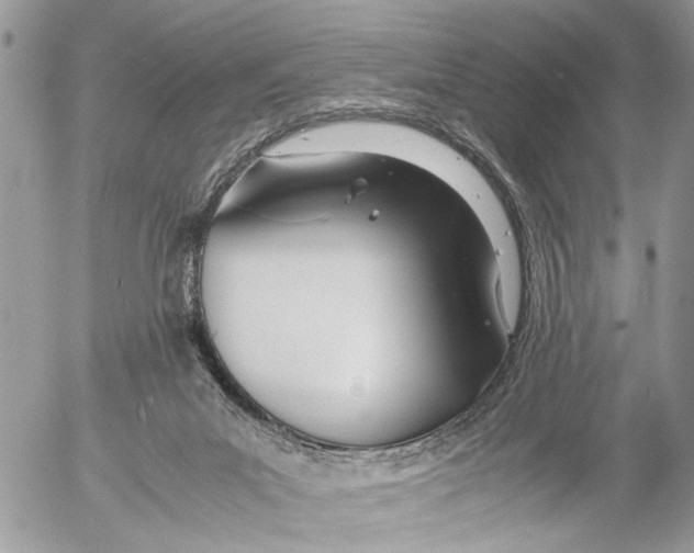 X0000053070023200508081231