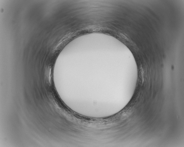 X0000053070024200508081231