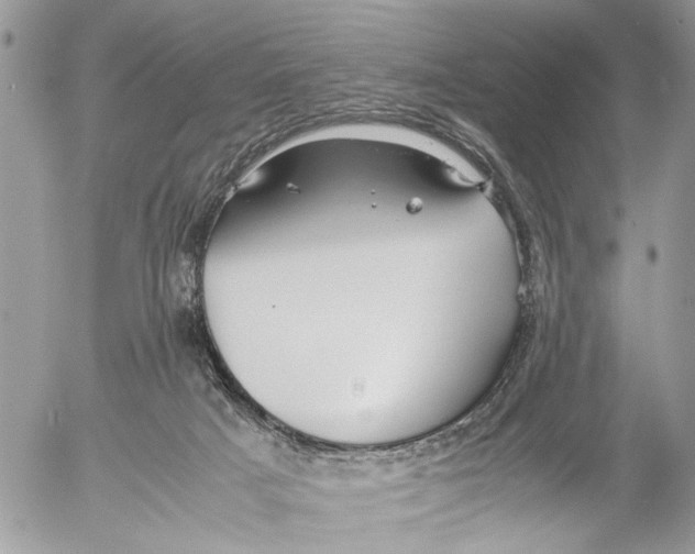 X0000053070025200508081231