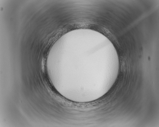 X0000053070026200508081231