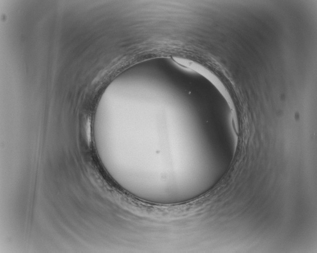 X0000053070027200508081231