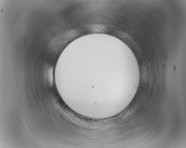 X0000053070028200508081231