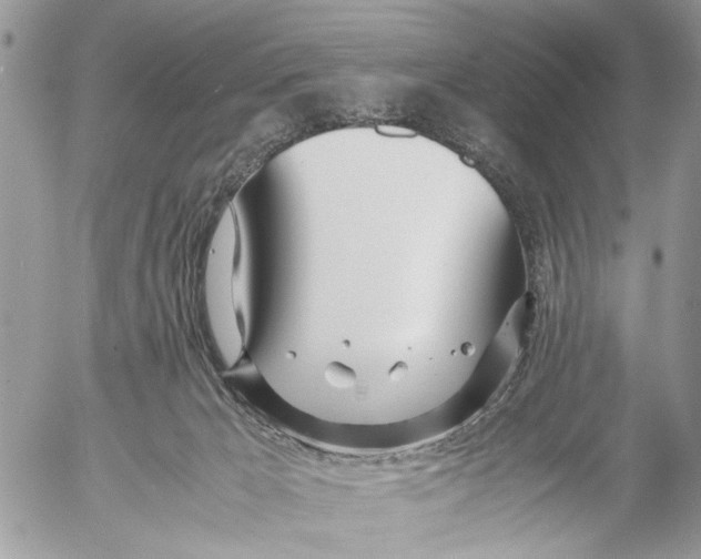 X0000053070029200508081231