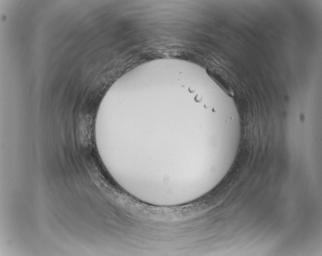 X0000053070030200508081231