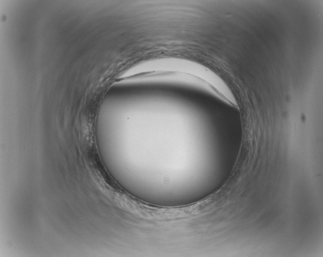 X0000053070031200508081231