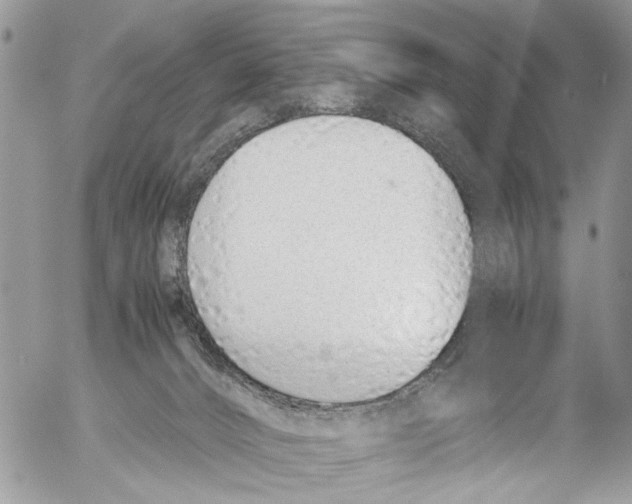 X0000053070032200508081231