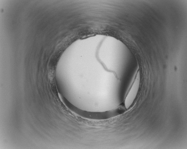 X0000053070033200508081231