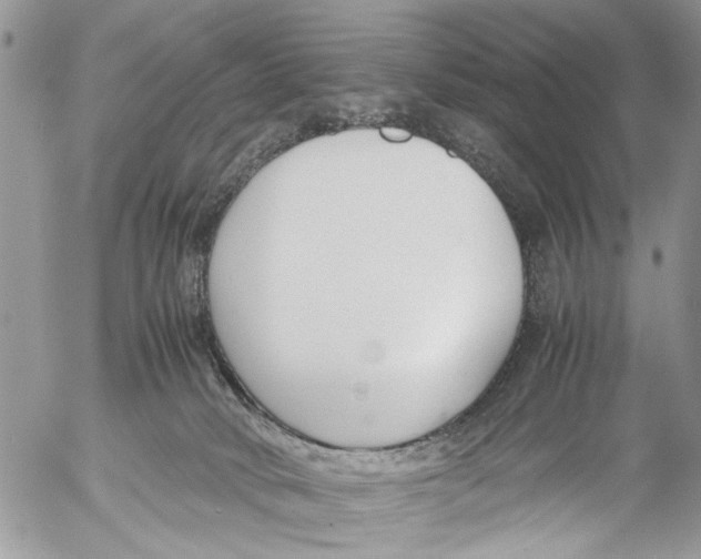 X0000053070034200508081231