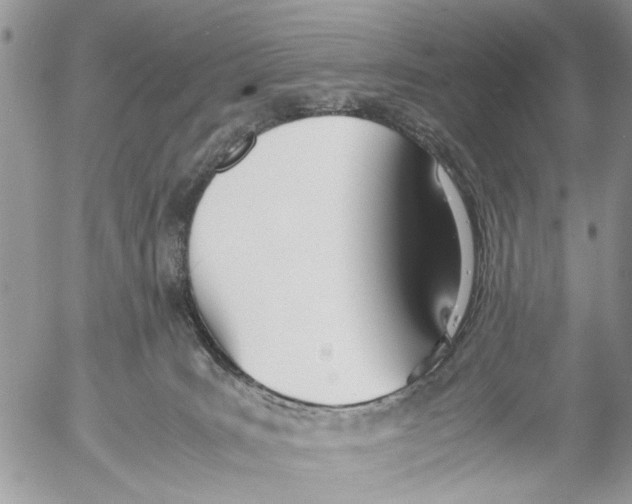 X0000053070035200508081231