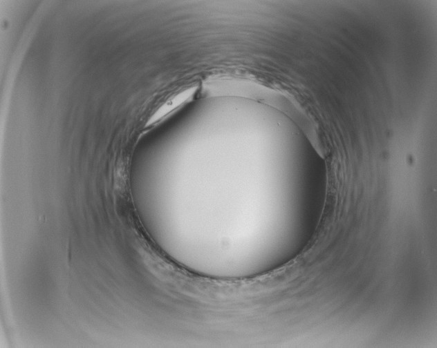 X0000053070037200508081231