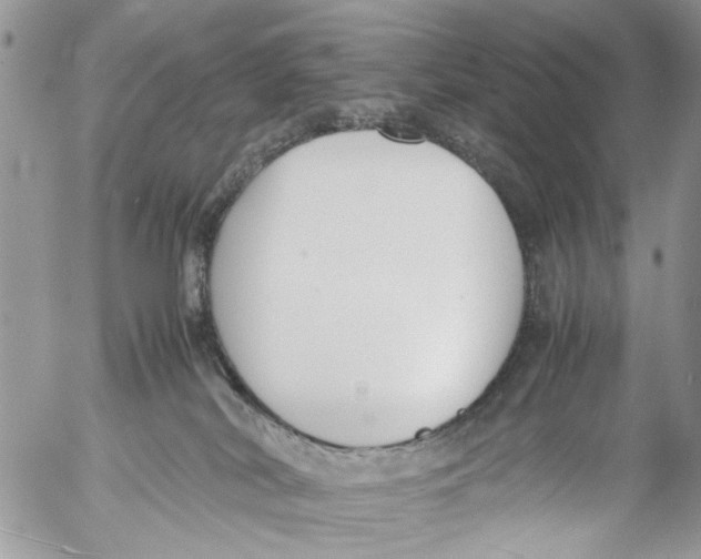 X0000053070038200508081231