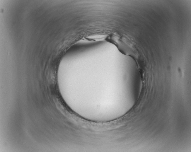 X0000053070039200508081231