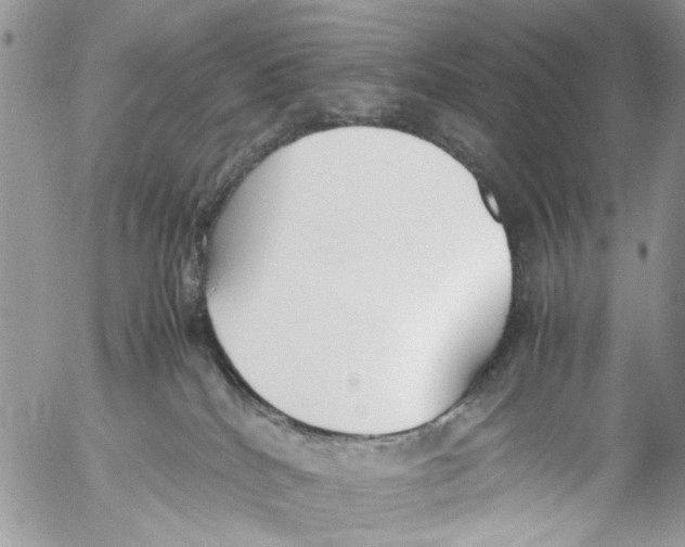 X0000053070040200508081231