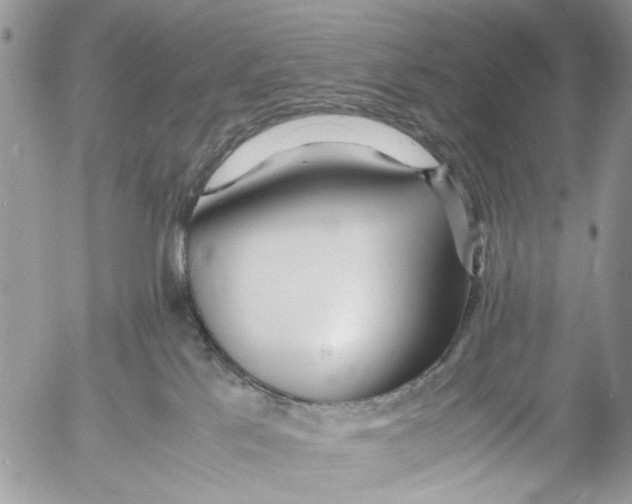 X0000053070041200508081231