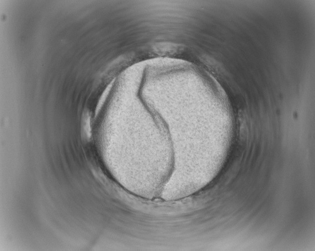 X0000053070042200508081231