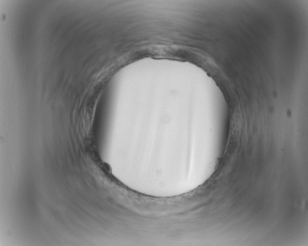 X0000053070043200508081231