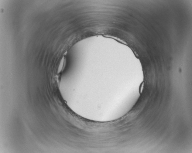 X0000053070044200508081231