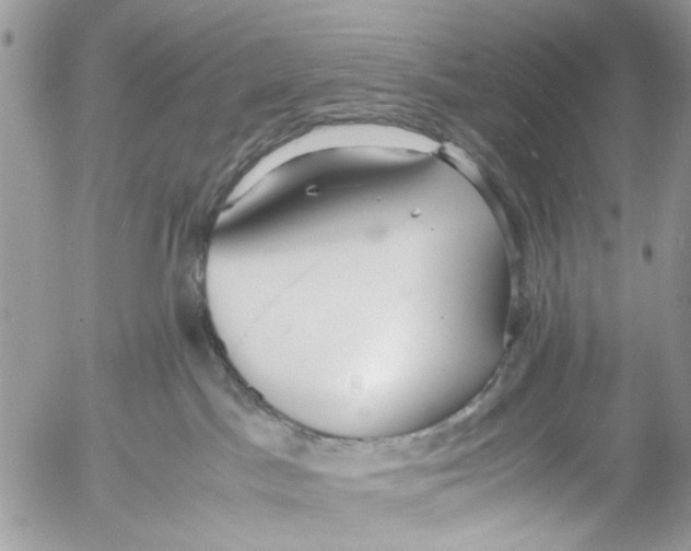 X0000053070045200508081231