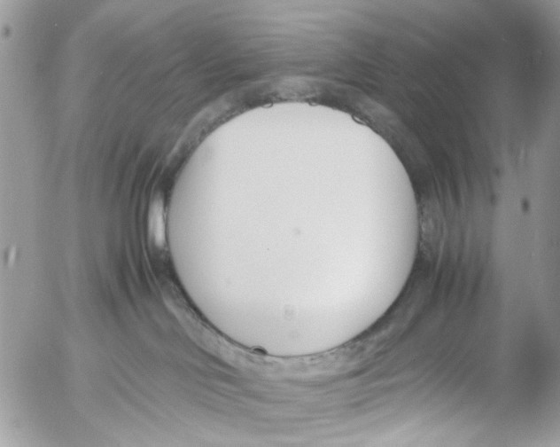 X0000053070046200508081231