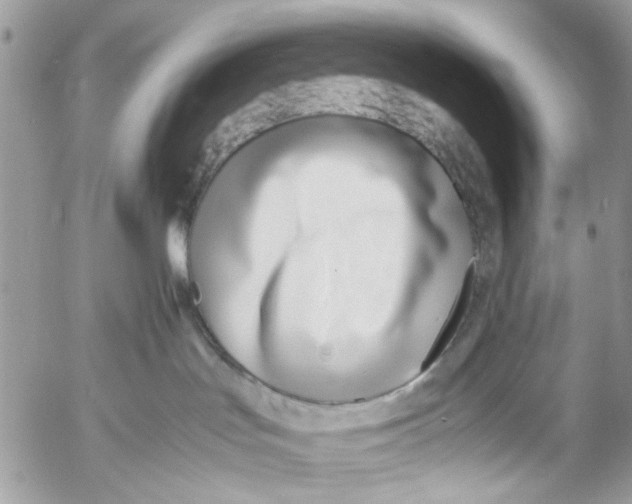 X0000053070047200508081231