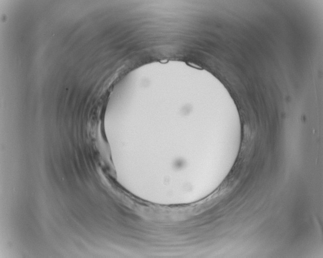 X0000053070048200508081231