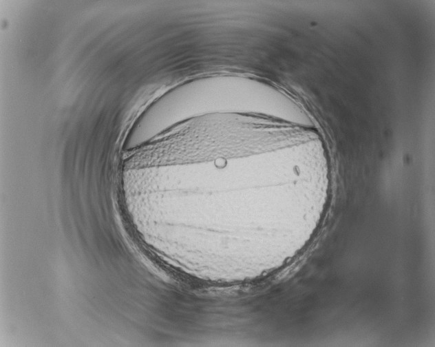 X0000053070049200508081230