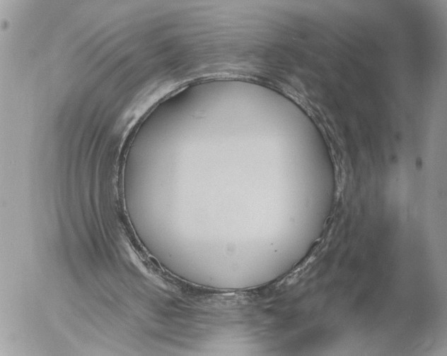 X0000053070050200508081230