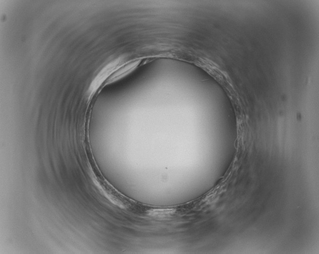 X0000053070051200508081230