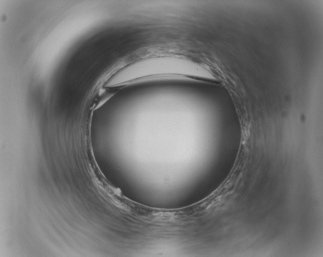 X0000053070052200508081230