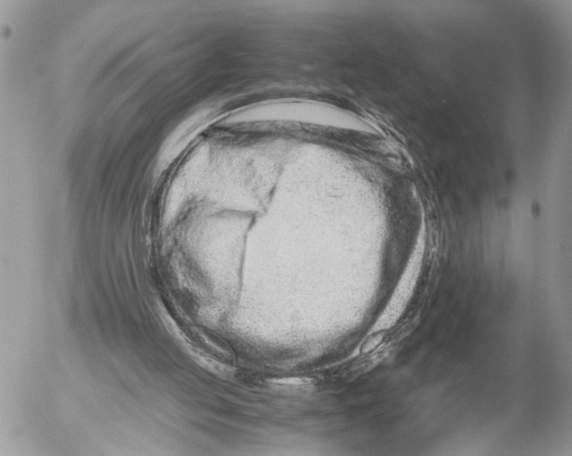 X0000053070053200508081230