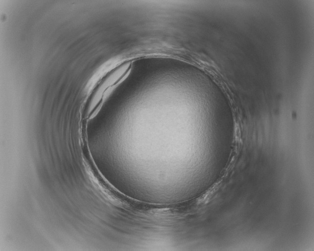 X0000053070054200508081230