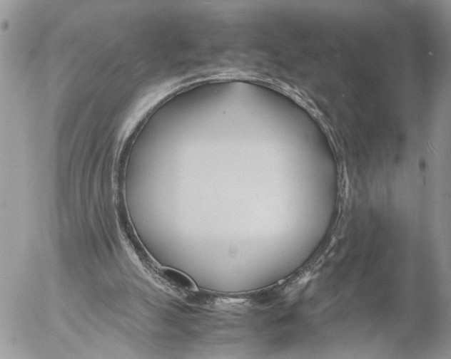 X0000053070055200508081230