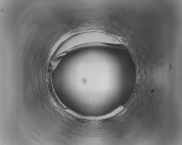 X0000053070056200508081230