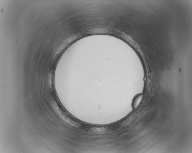 X0000053070057200508081230