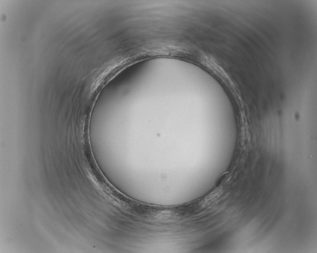 X0000053070058200508081230