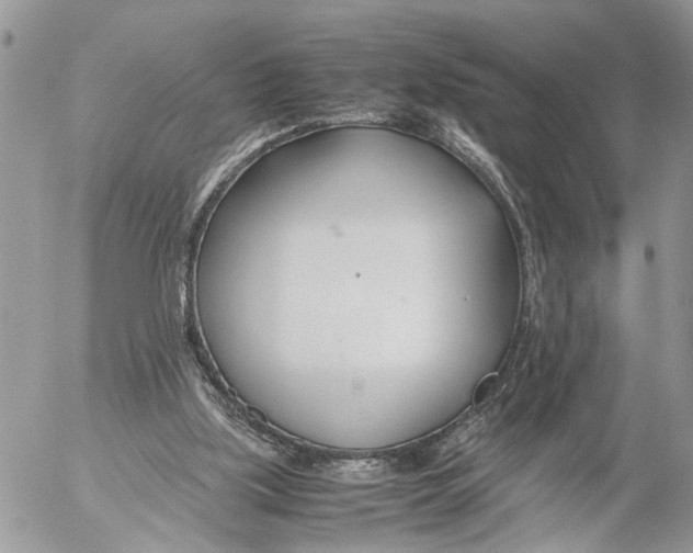 X0000053070059200508081230