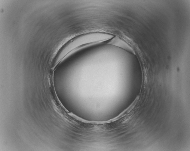 X0000053070060200508081230