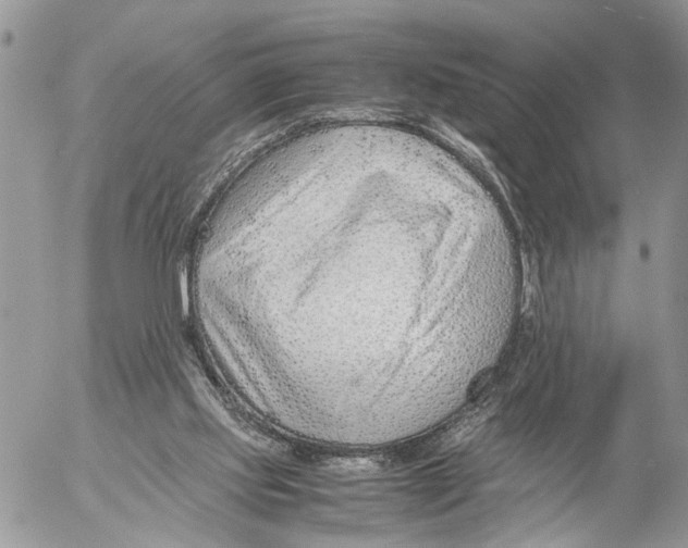 X0000053070061200508081230