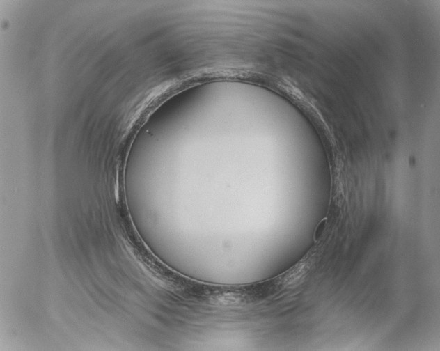 X0000053070062200508081230