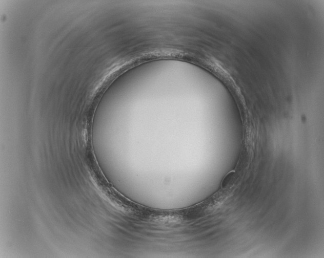 X0000053070063200508081230