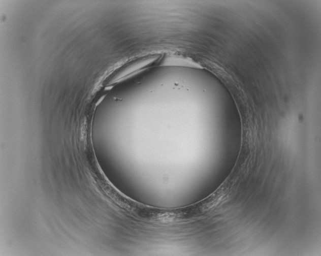 X0000053070064200508081230