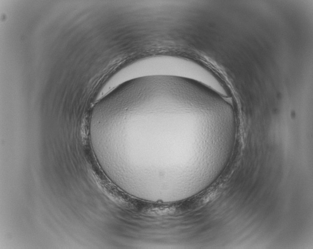 X0000053070065200508081230