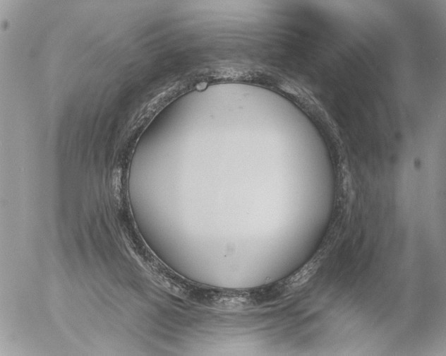 X0000053070066200508081230