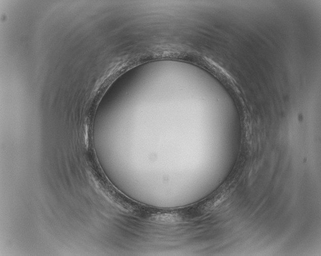 X0000053070067200508081230