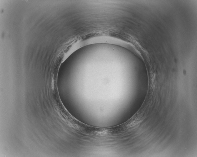 X0000053070068200508081230