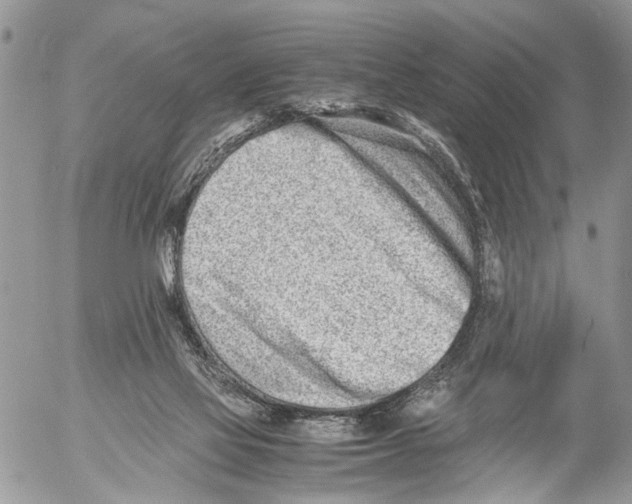 X0000053070069200508081230