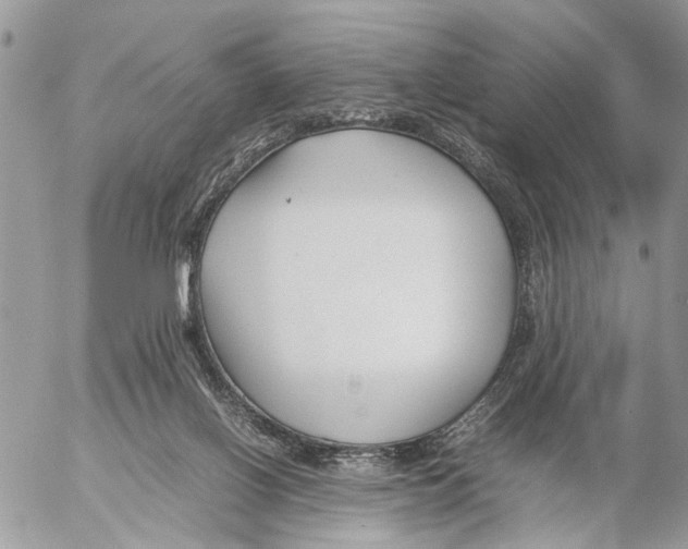 X0000053070070200508081230